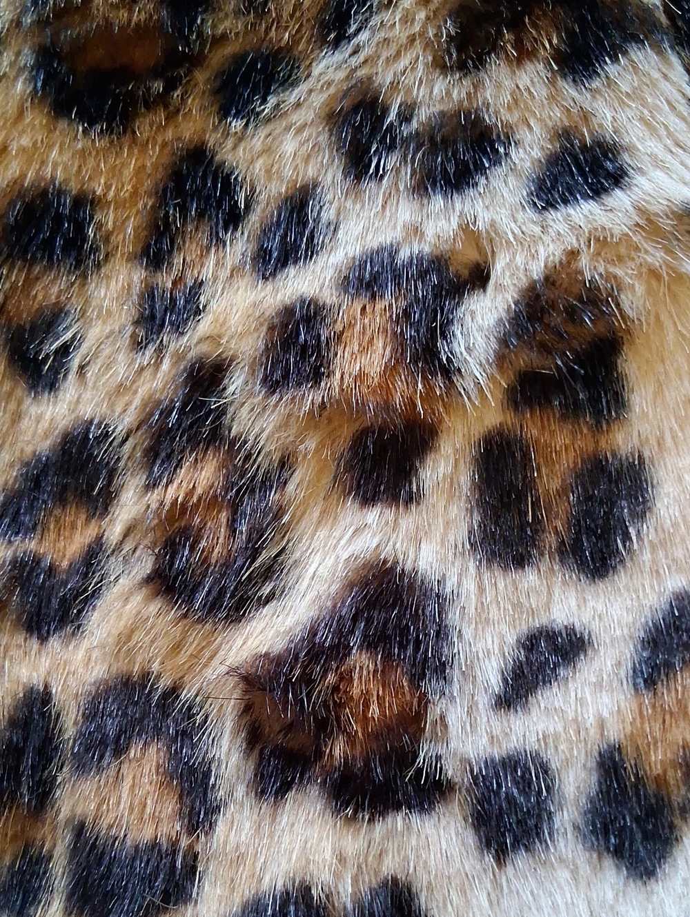 Nikki Jones Leopard Print Teddy Coat with Red Faux Fur Collar - Women's Jacket - Picture 4 of 14